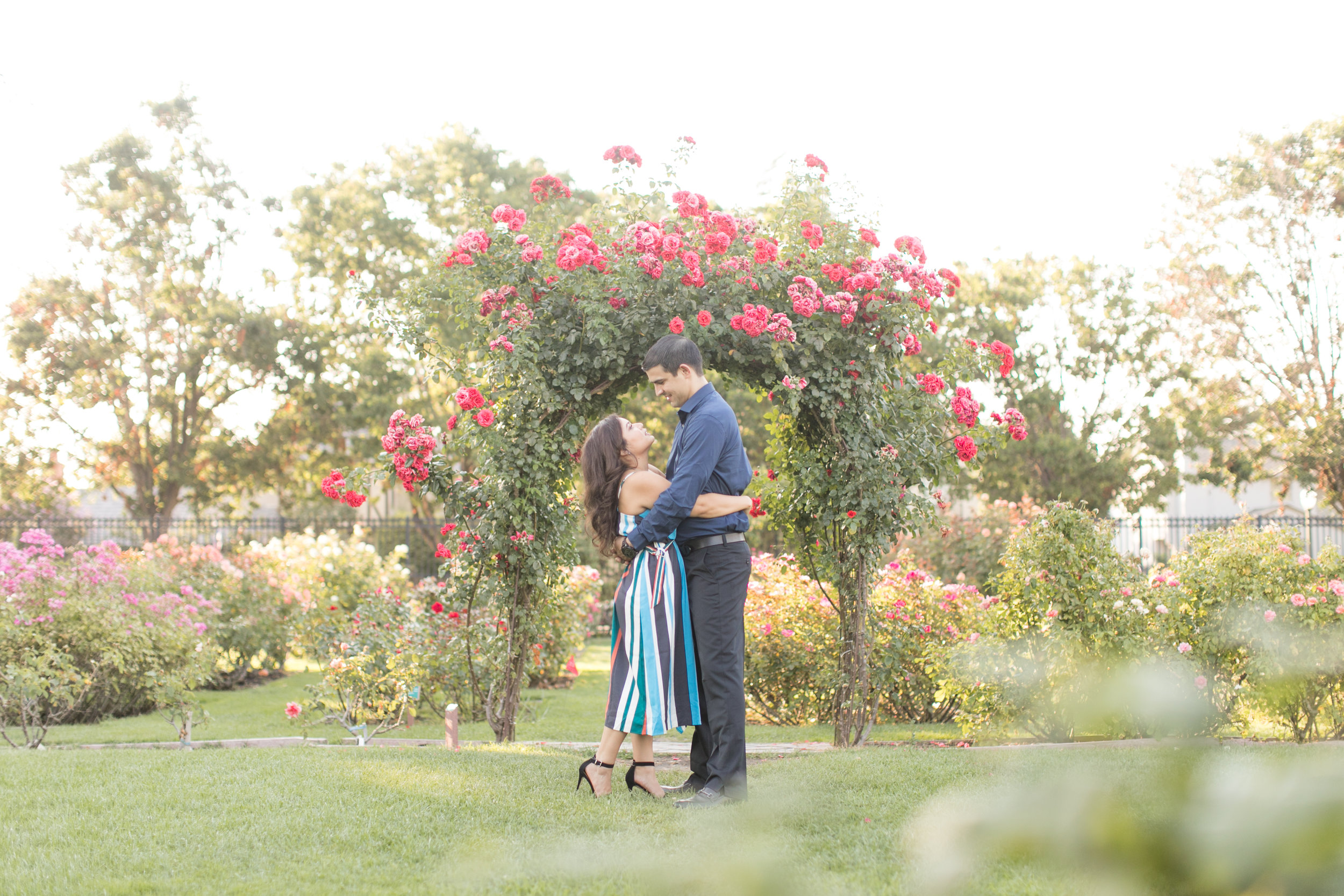 Xxx Gar0 Vef - Stefanie + Jeremy // San Jose Municipal Rose Garden Engagement ...