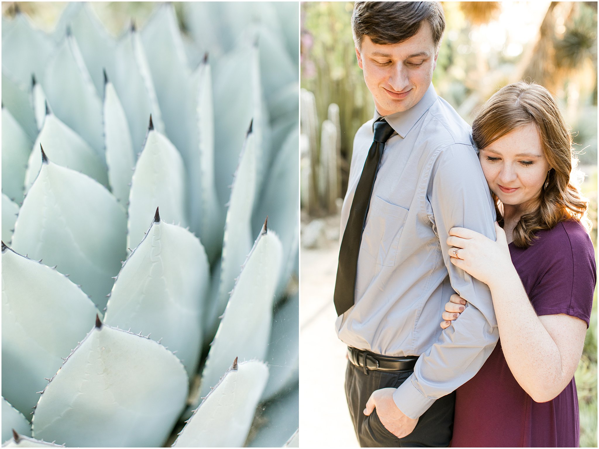 stanford cactus garden palo alto wedding photographer engagement photos anniversary portrait session angela sue photography_0024.jpg
