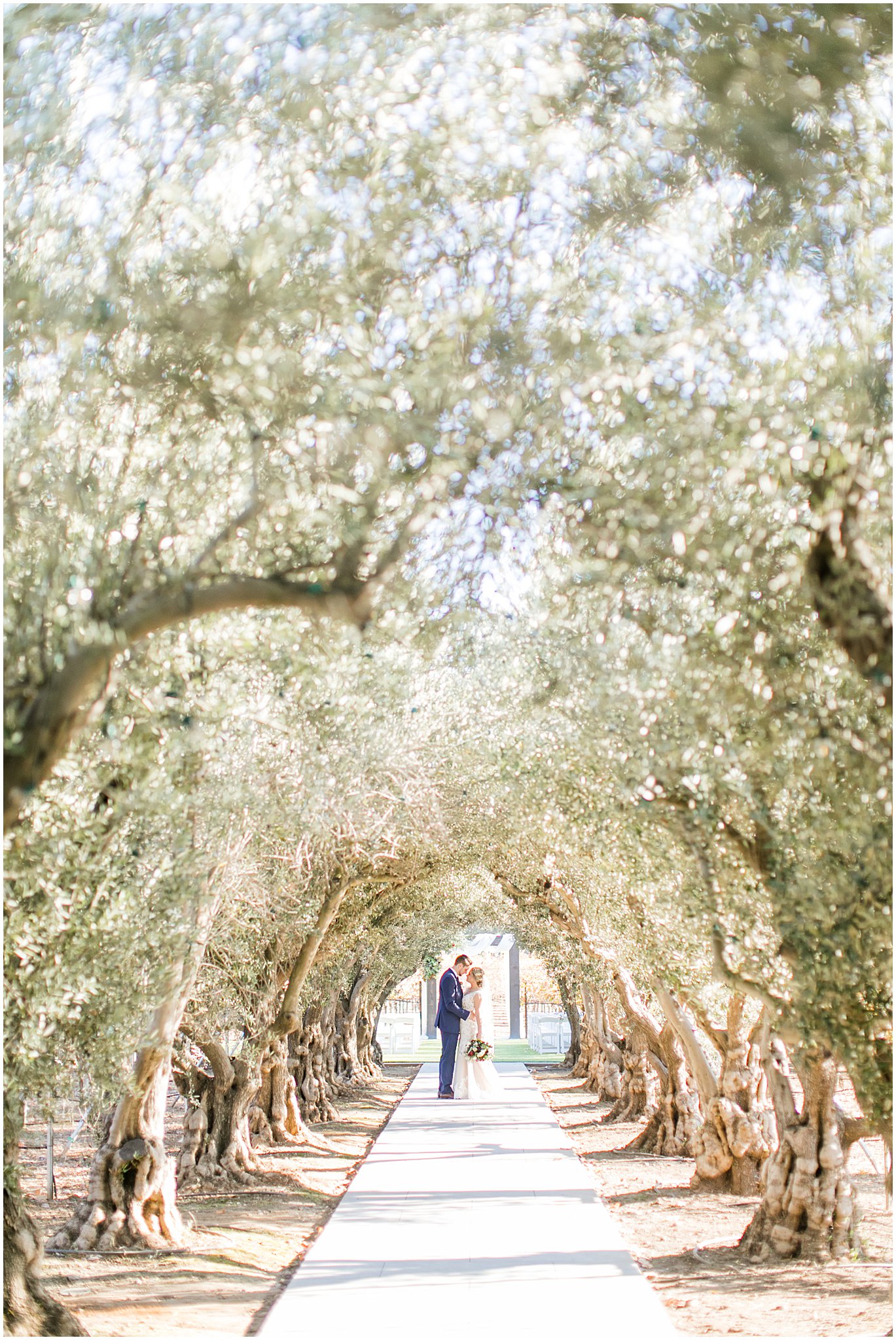 Sycamore Creek Vineyards Wedding - Live Love Leal - Fall Wedding - Bay Area Wedding Photographer - Angela Sue Photography_0043.jpg