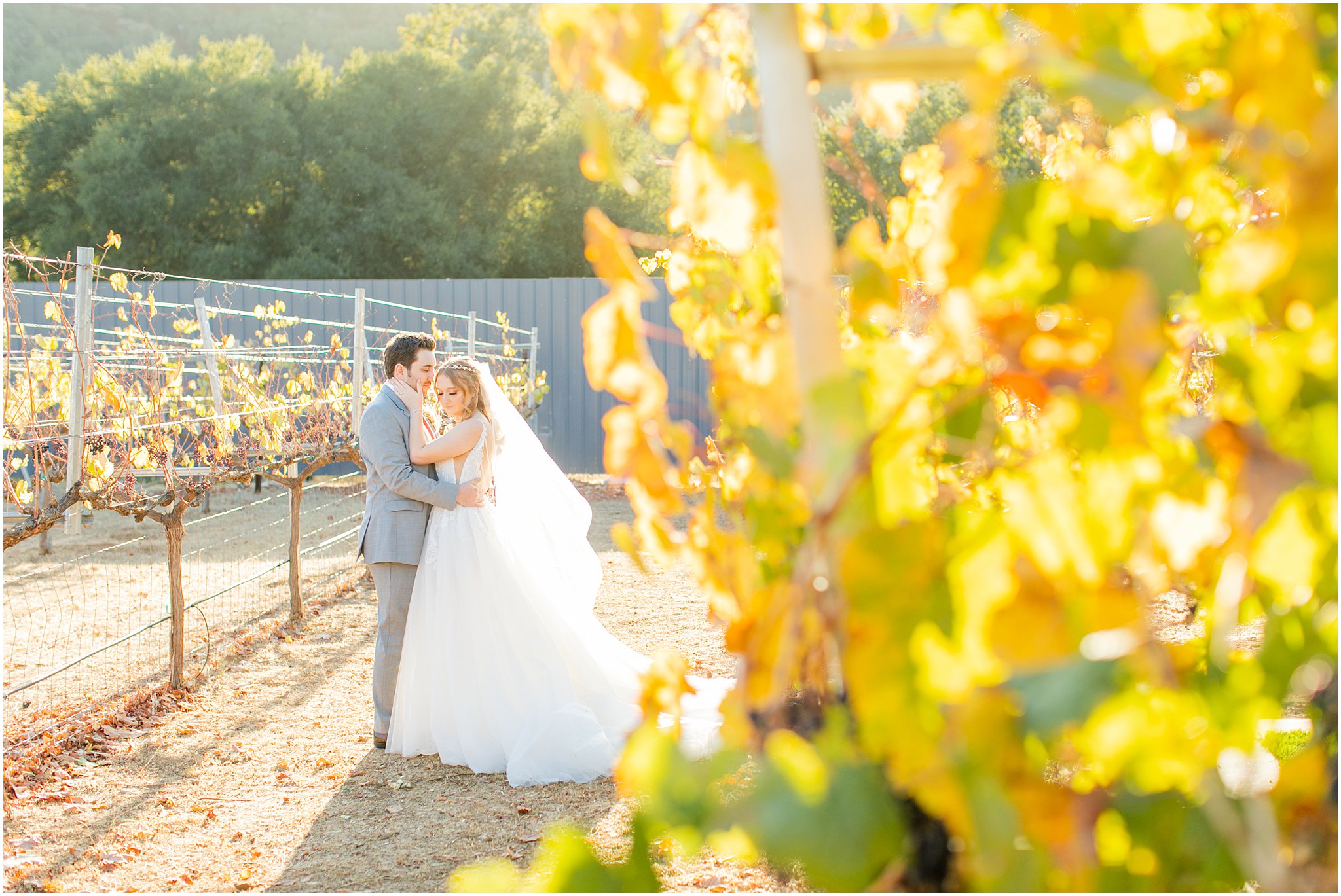 Sycamore Creek Vineyards Wedding - Fall Wedding Inspiration - Angela Sue Photography