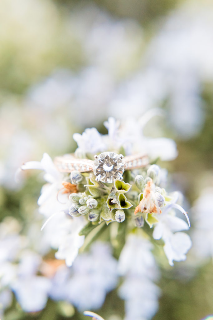 rose gold engagement ring with solitaire diamond - Los Gatos engagement photos - Angela Sue Photography