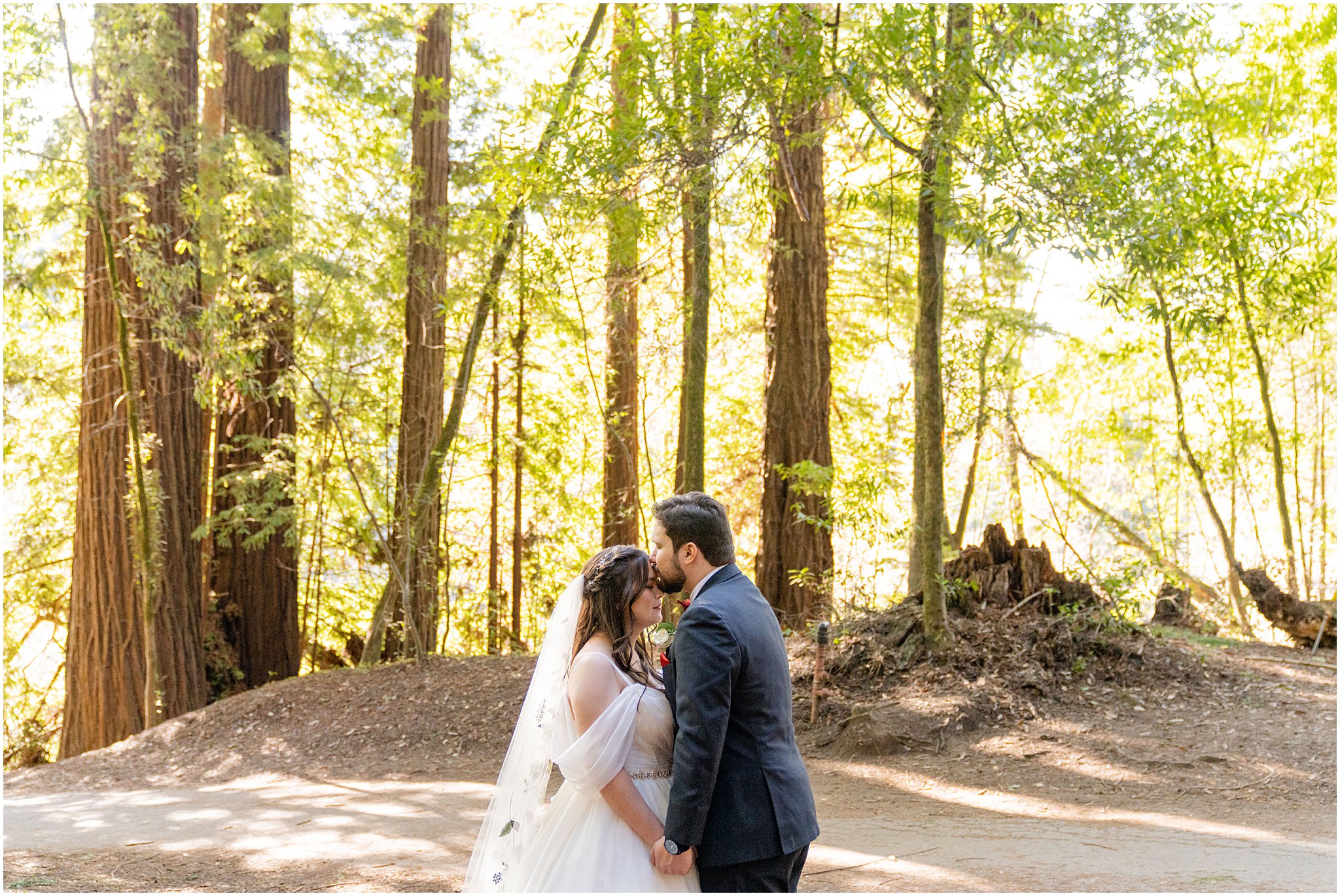newlyweds embrace in the redwoods